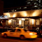 Halcyon Gay Bar and Lounge Guide