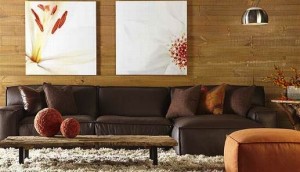 Collectic Home Furniture BEst Furnsiture Store in Austin